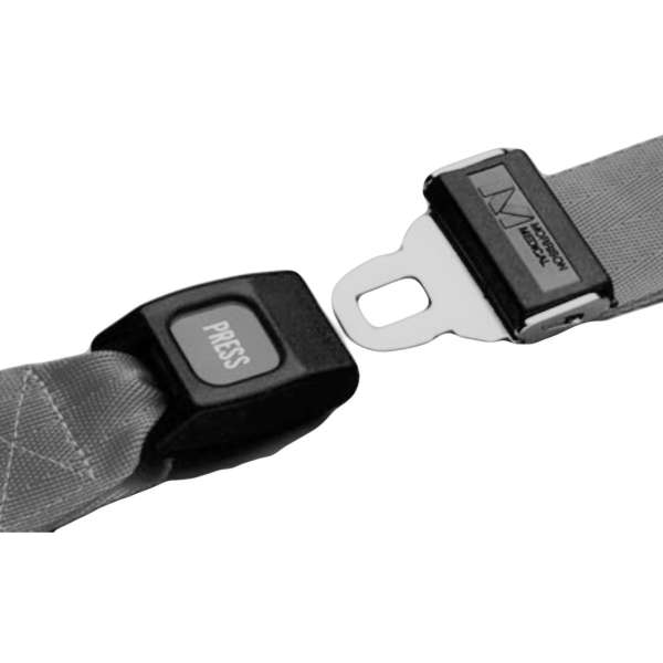 RESTRAINT STRAP 1PC 9' BLU Product Image
